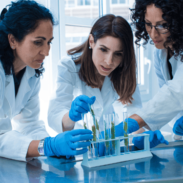 Life Sciences 2