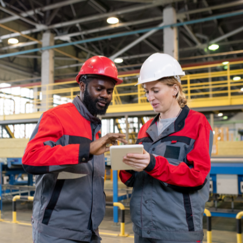 MFG Page images