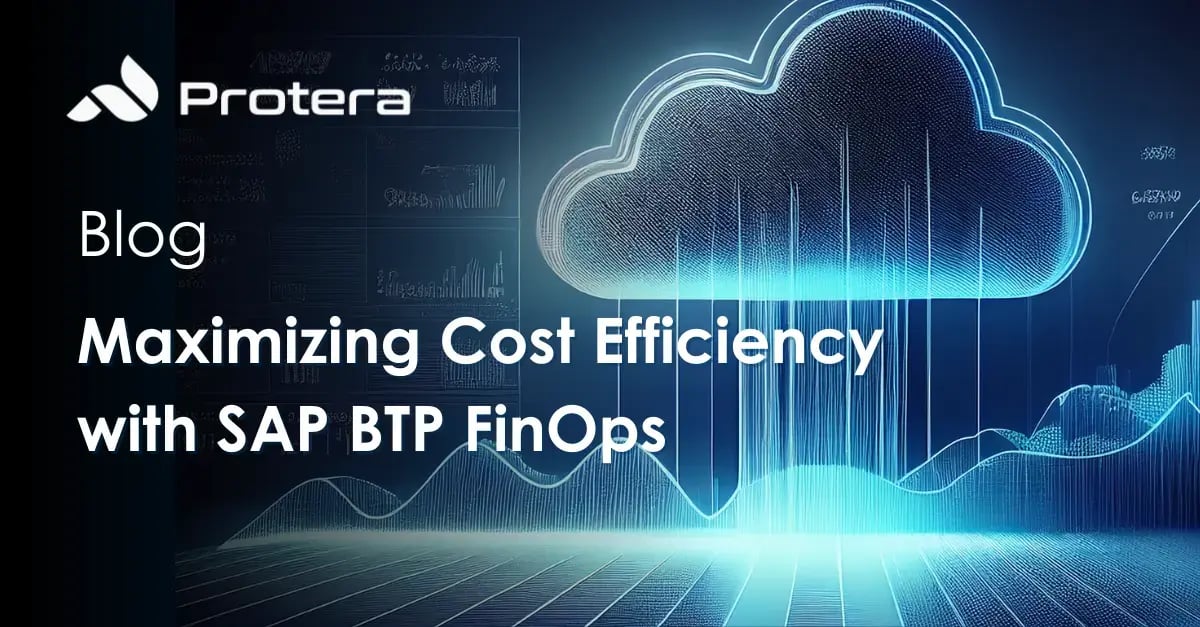 Maximizing Cost Efficiency with SAP BTP FinOps