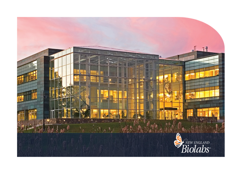 New England Biolads-1