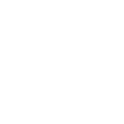 Pega logo white