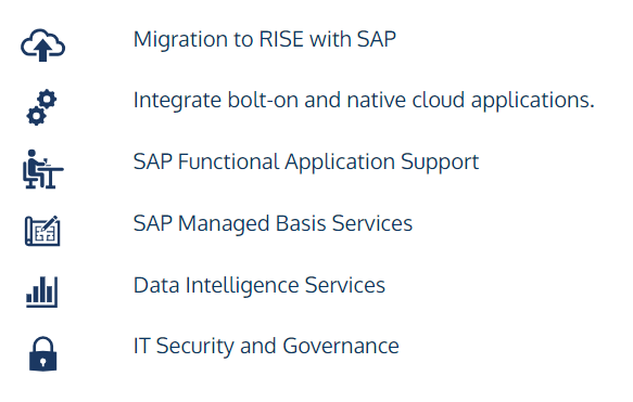 rise-with-sap