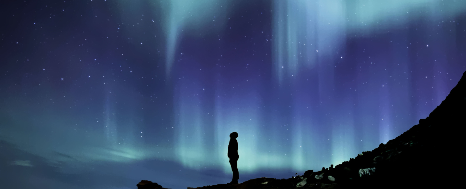 parallax image